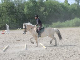 img_3464_web